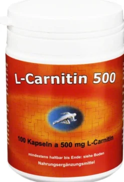 L Carnitin 500 mg 100 Kapseln