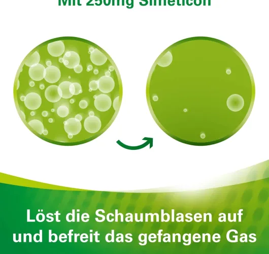 Lefax intens Lemon Fresh Mikro Granulat 20 Beutel 250 mg