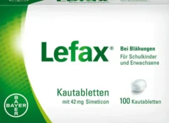 Lefax Kautabletten 100 Kautabletten