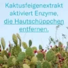 LETI Balm Fußpflegecreme 100 ml