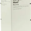 Lilium Compositum Heel Tropfen 100 ml Tropfen