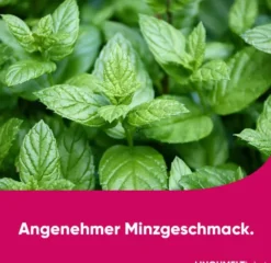 Lingumelt Akut 2 mg Lyophilisat zum Einnehmen 12 Stück