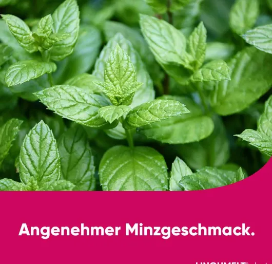 Lingumelt Akut 2 mg Lyophilisat zum Einnehmen 12 Stück
