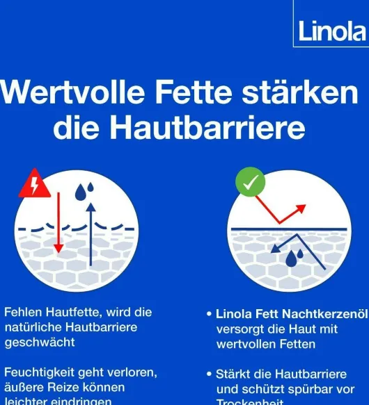 Linola Fett Nachtkerzenöl 50 g Creme