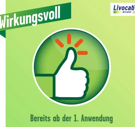 Livocab direkt Kombipackung 4 ml Augentropfen + 5 ml Nasenspray 1 Kombipackung