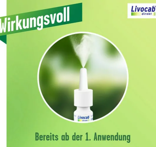 Livocab Direkt 5 ml Nasenspray
