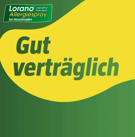 Lorano Azelastin-Fluticason Allergiespray bei Heuschnupfen 23 g