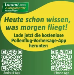 Lorano Azelastin-Fluticason Allergiespray bei Heuschnupfen 23 g