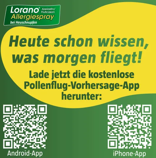 Lorano Azelastin-Fluticason Allergiespray bei Heuschnupfen 23 g