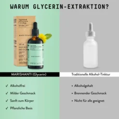 Löwenzahnwurzel Extrakt Kräuter Tropfen alkoholfrei 100 ml