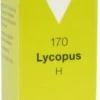 Lycopus H Nr. 170 50 ml Tropfen