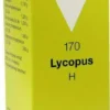 Lycopus H Nr. 170 100 ml Tropfen