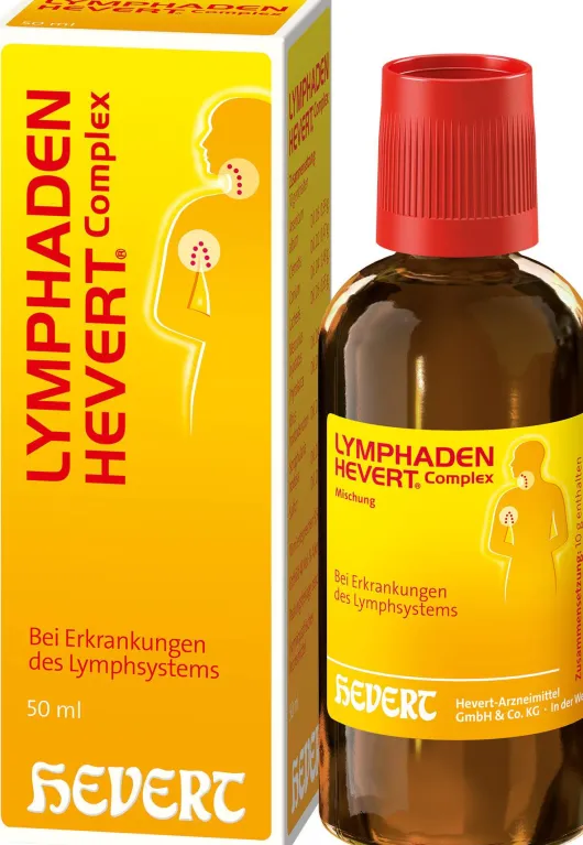Lymphaden Hevert Complex Tropfen 50 ml Tropfen