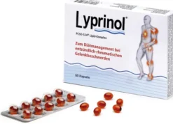 Lyprinol 60 Kapseln