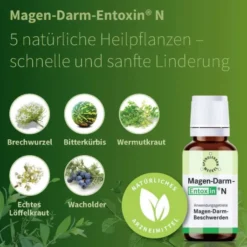 Magen Darm Entoxin N 50 ml Tropfen