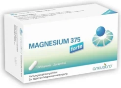 Magnesium 375 Forte Kapseln