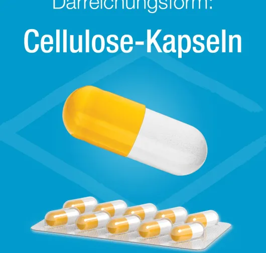 Magnesium Verla 400 complex Kapseln 60 Stück