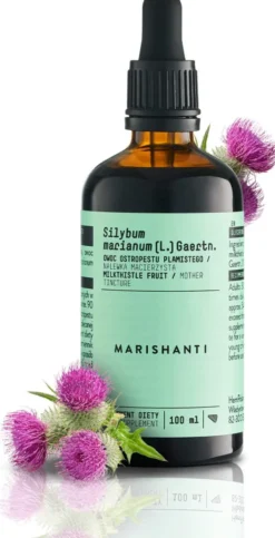 Mariendistel Früchte Extrakt Tropfen alkoholfrei 100 ml