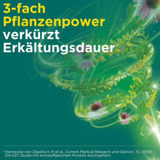 Meditonsin Extract Junior pflanzliche Erkältungstabletten 90 Stück