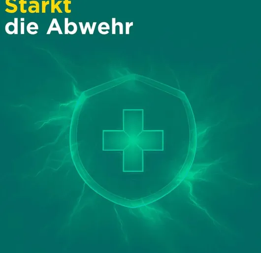 Meditonsin Extract pflanzliche Erkältungstabletten 60 Stück