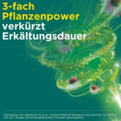 Meditonsin Extract pflanzliche Erkältungstabletten 60 Stück