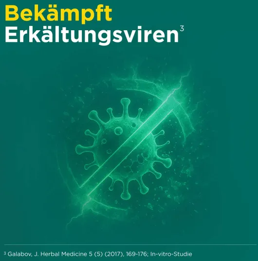 Meditonsin Extract pflanzliche Erkältungstabletten 60 Stück