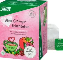 Mein Lieblings - Früchtetee Bio Salus 40 Filterbeutel