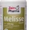 Melisse Kapseln 250 mg Extrakt 90 Stück