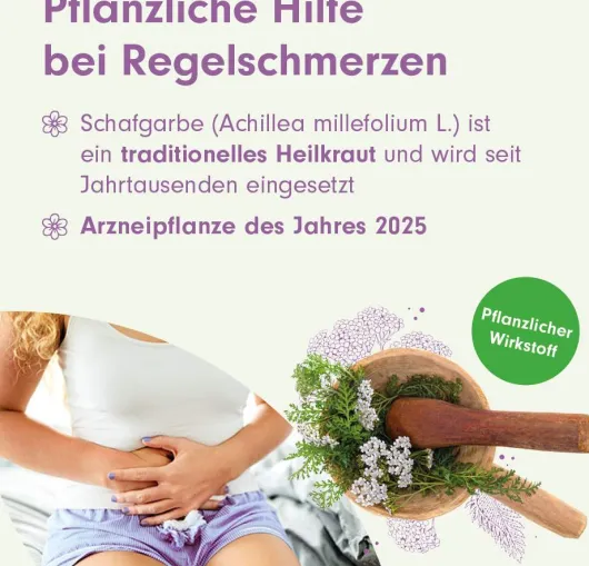 MenoLind BEH Pharma 250 mg 30 Filmtabletten