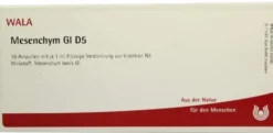 Mesenchym Gl D 5 Ampullen