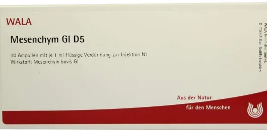 Mesenchym Gl D 5 Ampullen