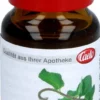 Minzöl Japanisch Profuma Caelo Hv Packung 10 ml
