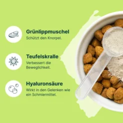 Mobeel Pulver für Hund und Katze 150 g