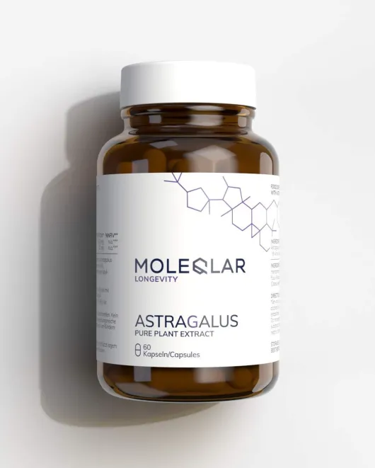 MoleQlar Astragalus high dose 60 Kapseln