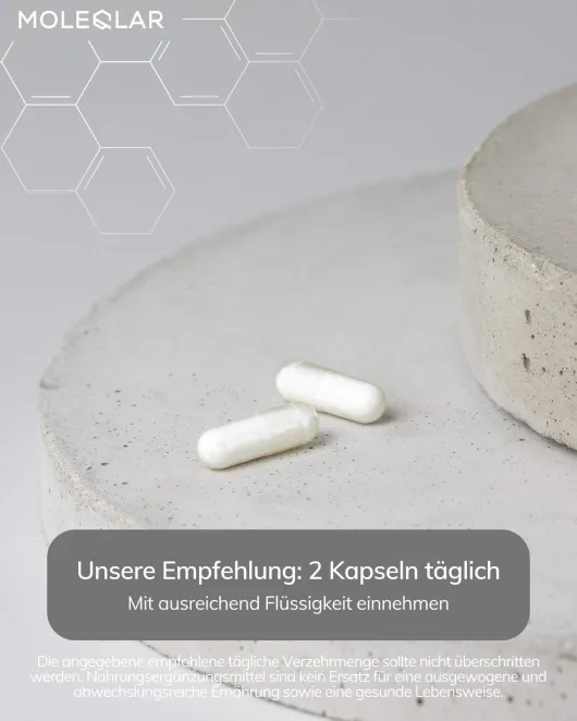 MoleQlar Longevity QNESIUM 120 Kapseln