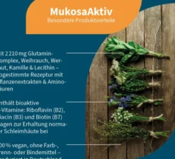 MukosaAktiv L-Glutamin + Propionsäure, Lecithin & B-Vitamine 210 Kapseln
