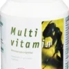 Multivitamin 100 Kapseln