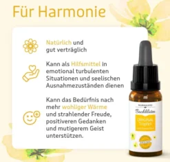 Murnauer Bachblüten Original Tropfen 10ml