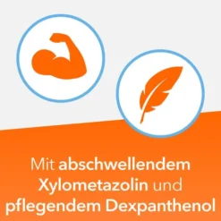 NasenDuo Nasenspray 10 ml