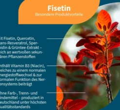 NatuGena Fisetin 90 Kapseln