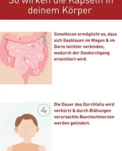 N1 Durchfall Kapseln 30 Stück