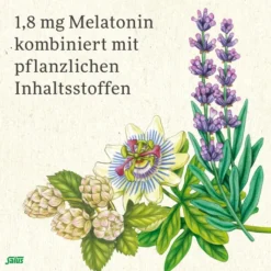Neuro Sleep Melatonin 2-Phasen Tabletten Salus 60 Stück