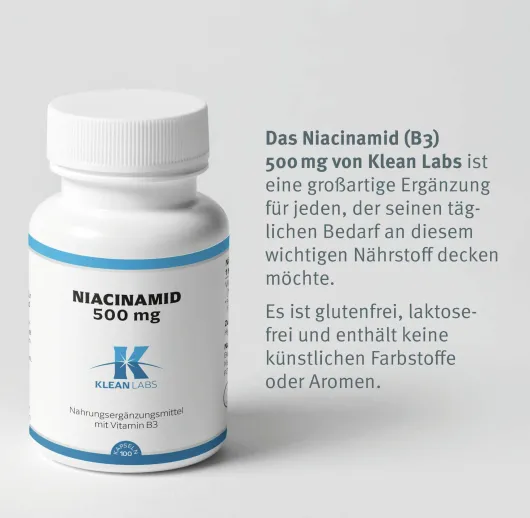 Niacinamid B3 500 mg 100 Kapseln