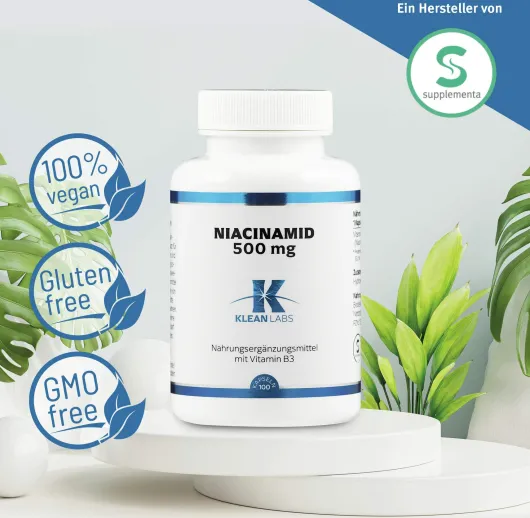 Niacinamid B3 500 mg 100 Kapseln