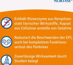 Nortase 20 Kapseln