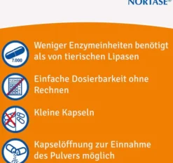Nortase 20 Kapseln