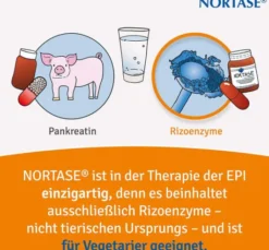 Nortase 200 Kapseln