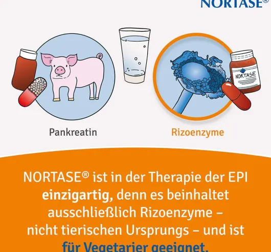 Nortase 200 Kapseln