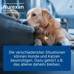 Nurexan Ad Us. vet. 100 Tabletten
