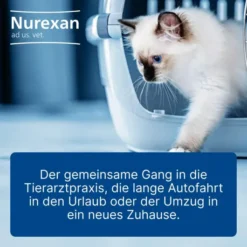 Nurexan Ad Us. vet. 100 Tabletten